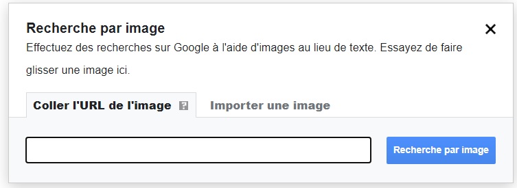 rechercher une image sur google par url 
